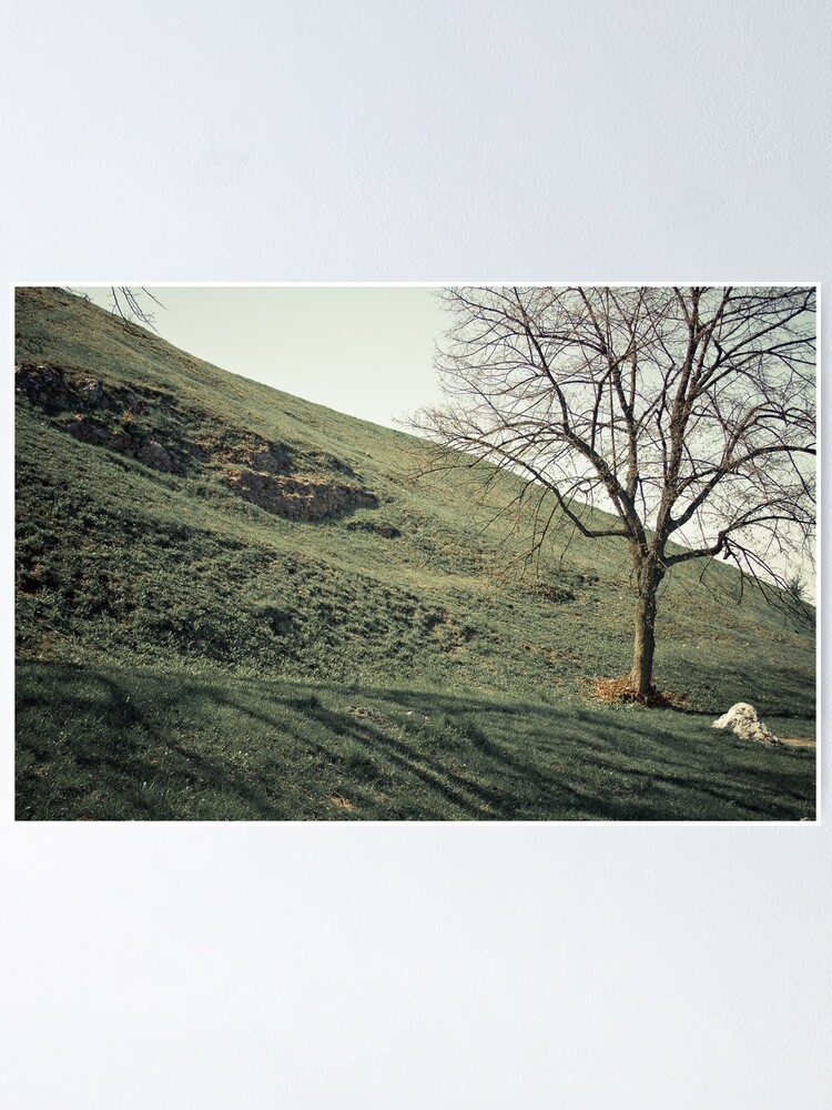 Thumbnail 1 of 3, Poster, foothill designed and sold by BrainCandy.