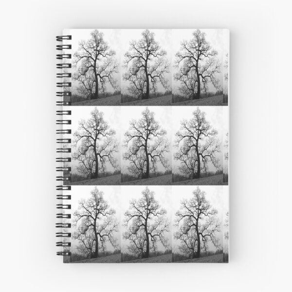 Item preview, a great old tree designed and sold by Jean Gregory Evans.
