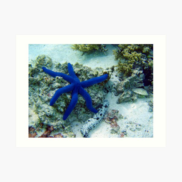 Blue Star Art Print