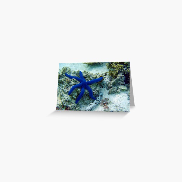 Blue Star Greeting Card