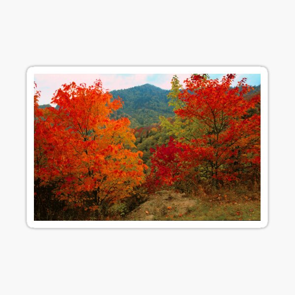Item preview, AUTUMN MAPLES designed and sold by Chuck Wickham.