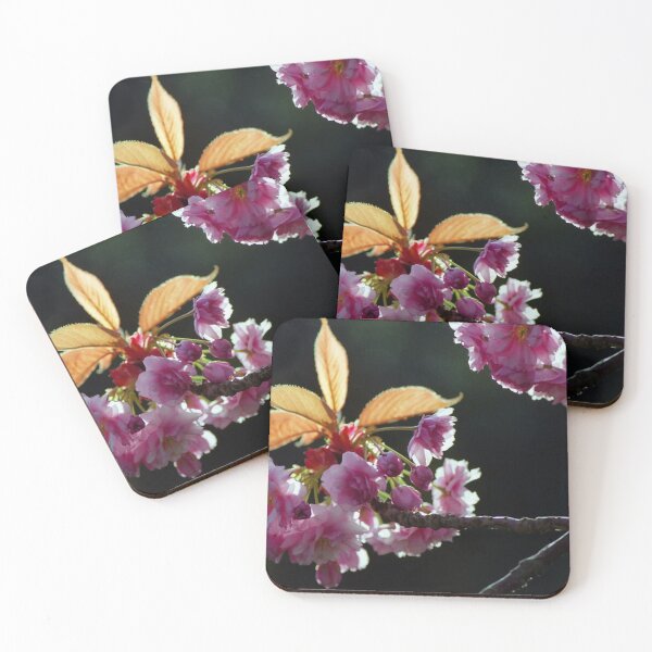Item preview, Prunus "Kanzan" designed and sold by Nerone.