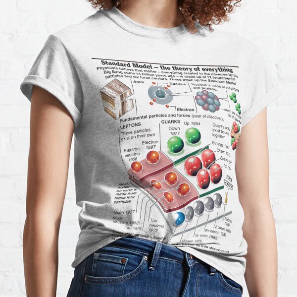 Physics Standard Model Theory  Classic T-Shirt