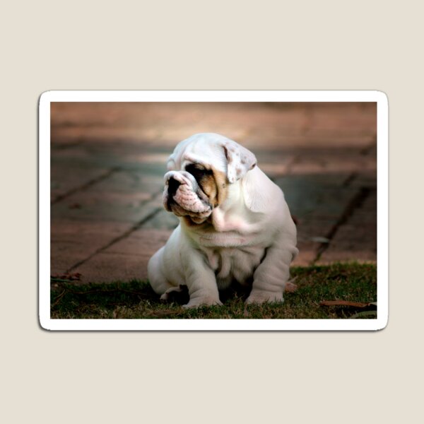 ~The Thinker~ Magnet