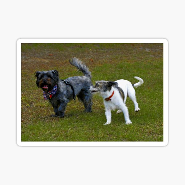 Who Let the Dogs Out? Sticker