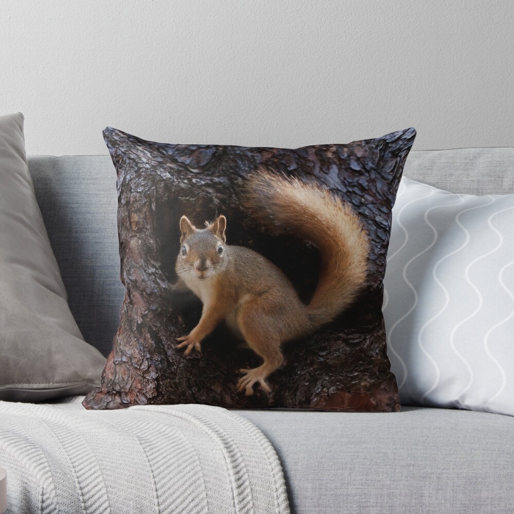 squirrel pillow