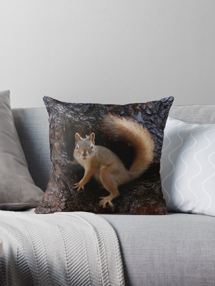 squirrel pillow