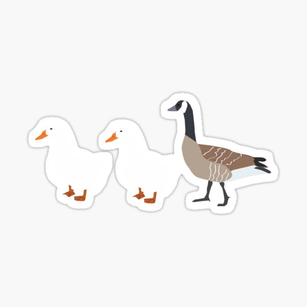 Duck Duck Gray Duck - Vikings celebration Sticker for Sale by  timothy-fletch