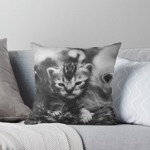 Item preview, Gatitos designed and sold by Rebeca Saray.