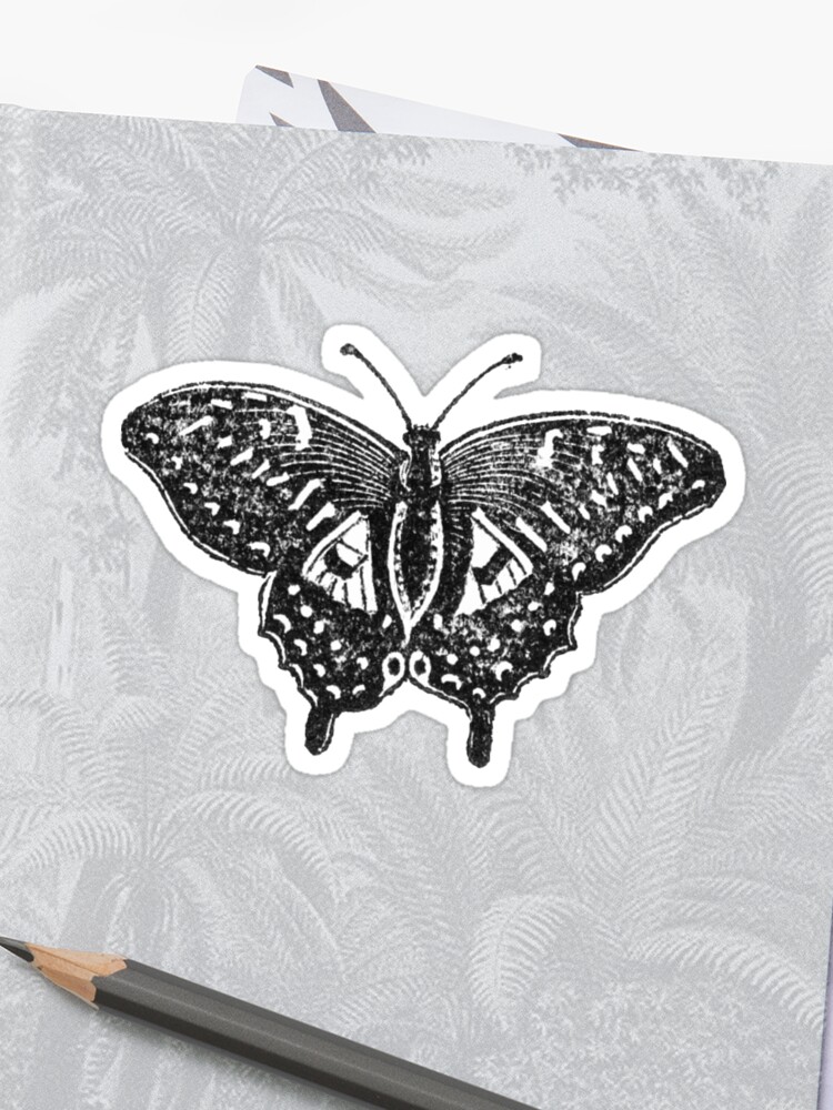 Butterfly Sticker By Adalae Redbubble