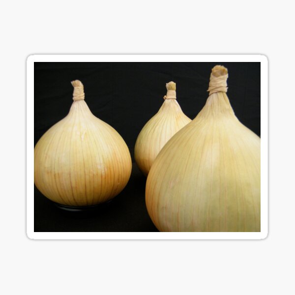Onions Sticker