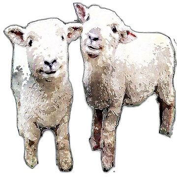 Artwork thumbnail, Two Sheep bywhacky by designbywhacky