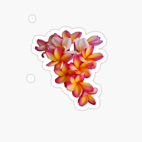 Item preview, Frangipani  designed and sold by Fred  Smith.