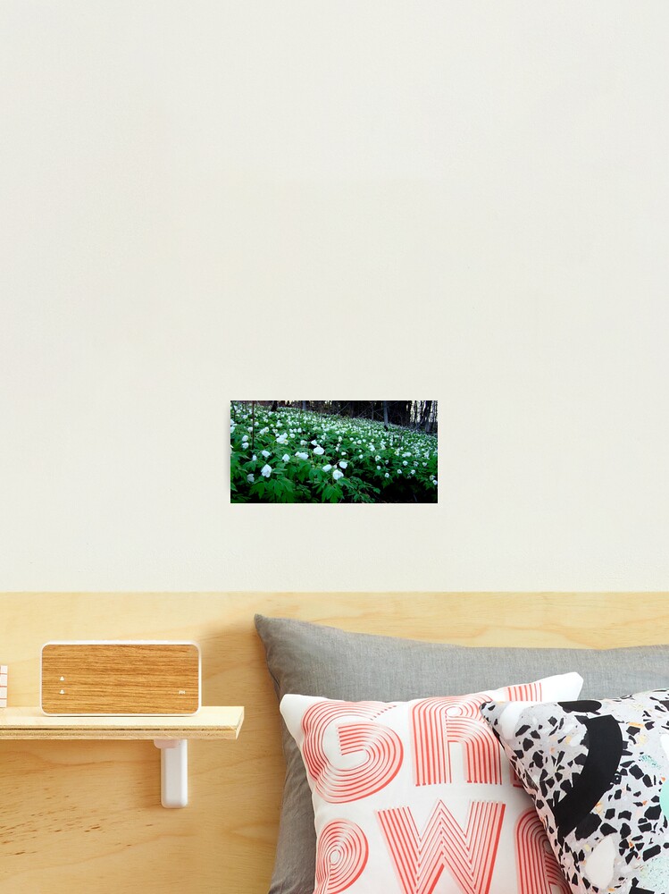 Thumbnail 2 of 3, Photographic Print, Spring Overtake designed and sold by RitvaIkonen.