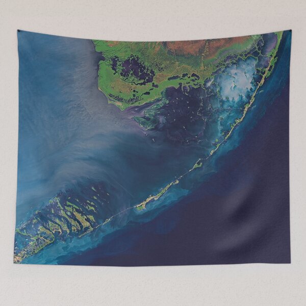 Item preview, Florida Everglades,  Keys, Key Largo, and Gulf of Mexico designed and sold by Jim Plaxco.