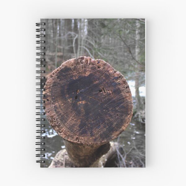 Item preview, Follow the Arrow. designed and sold by Amanda Vontobel Photography/Random Fandom Stuff.