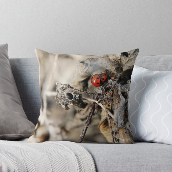 Item preview, Ladybird Love designed and sold by WesternExposure.