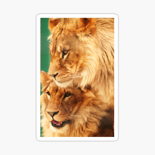Brothers 2 Sticker