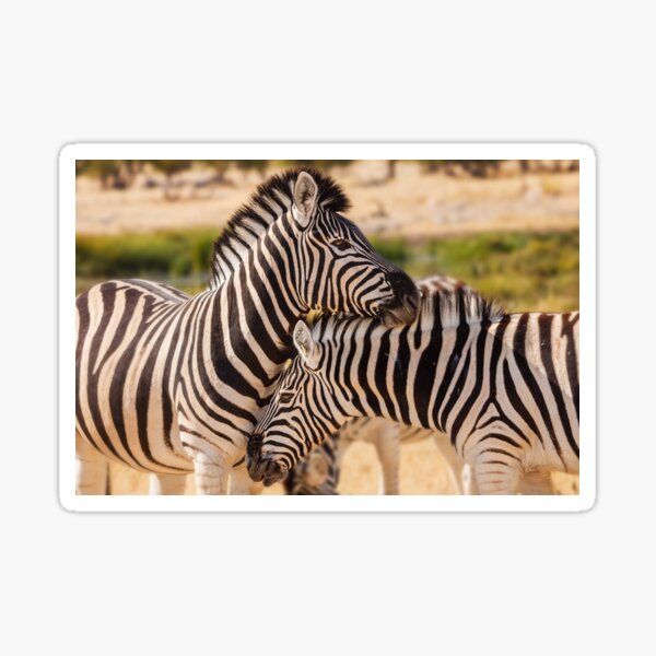 Friendship in black and white Sticker