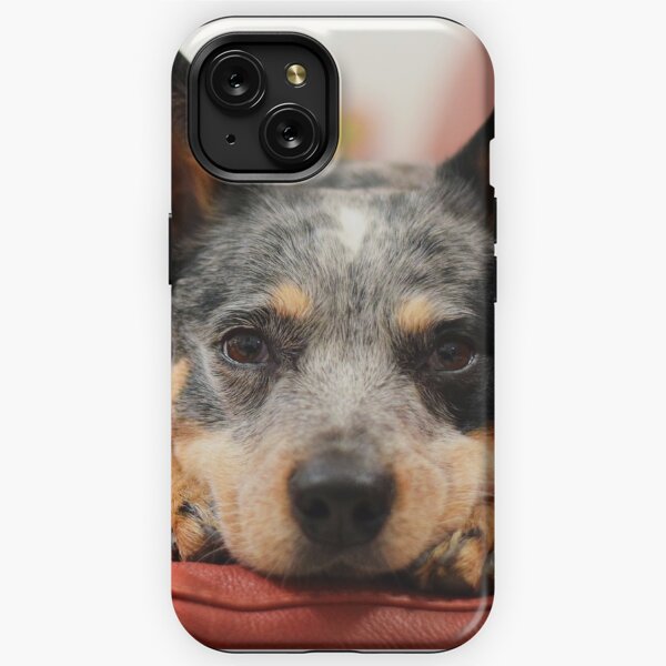 Red Heeler iPhone Cases for Sale Redbubble