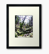 Brush - Grampians, Australia Framed Print