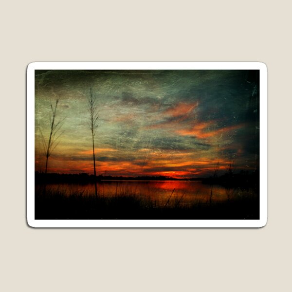 Item preview, Bayou Twilight designed and sold by Jonicool.