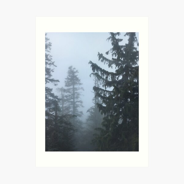 Grouse Mountain - A photograph of misty pine trees from Grouse Mountain in Vancouver, Canada Art Print
