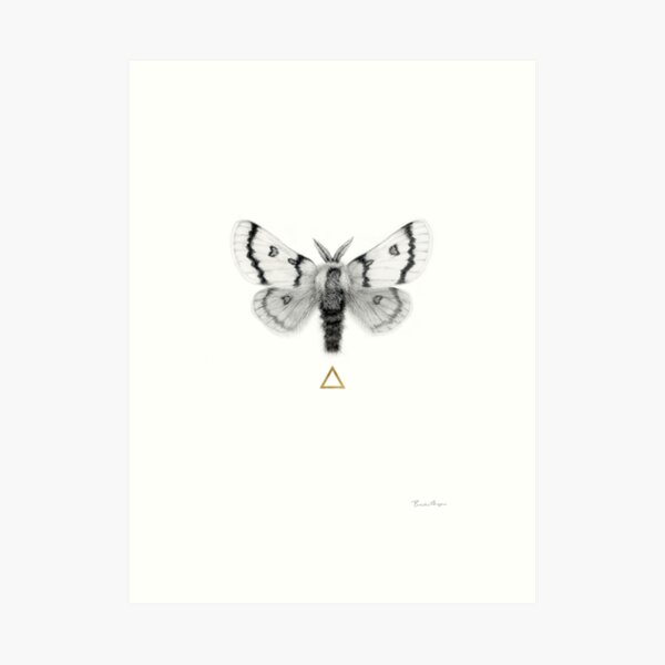 Moth to the Flame - Gold Leafed Graphite Drawing of a Moth Art Print