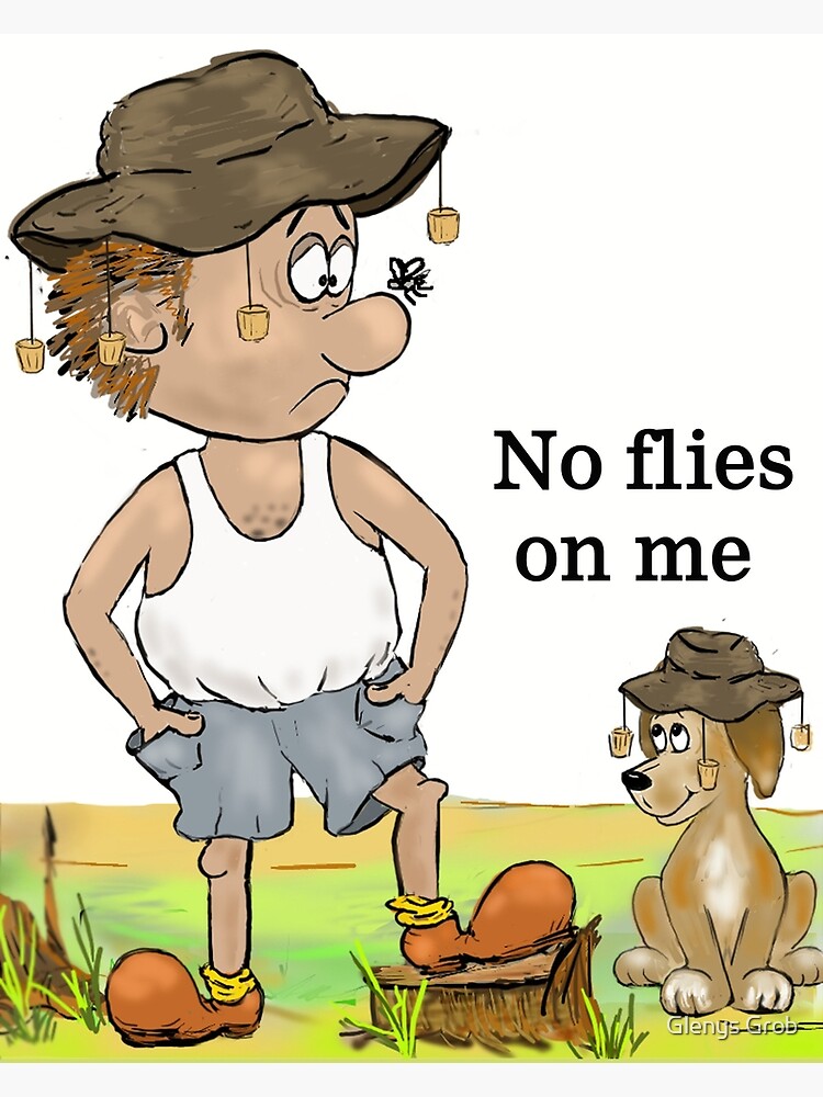 no flies on you meaning