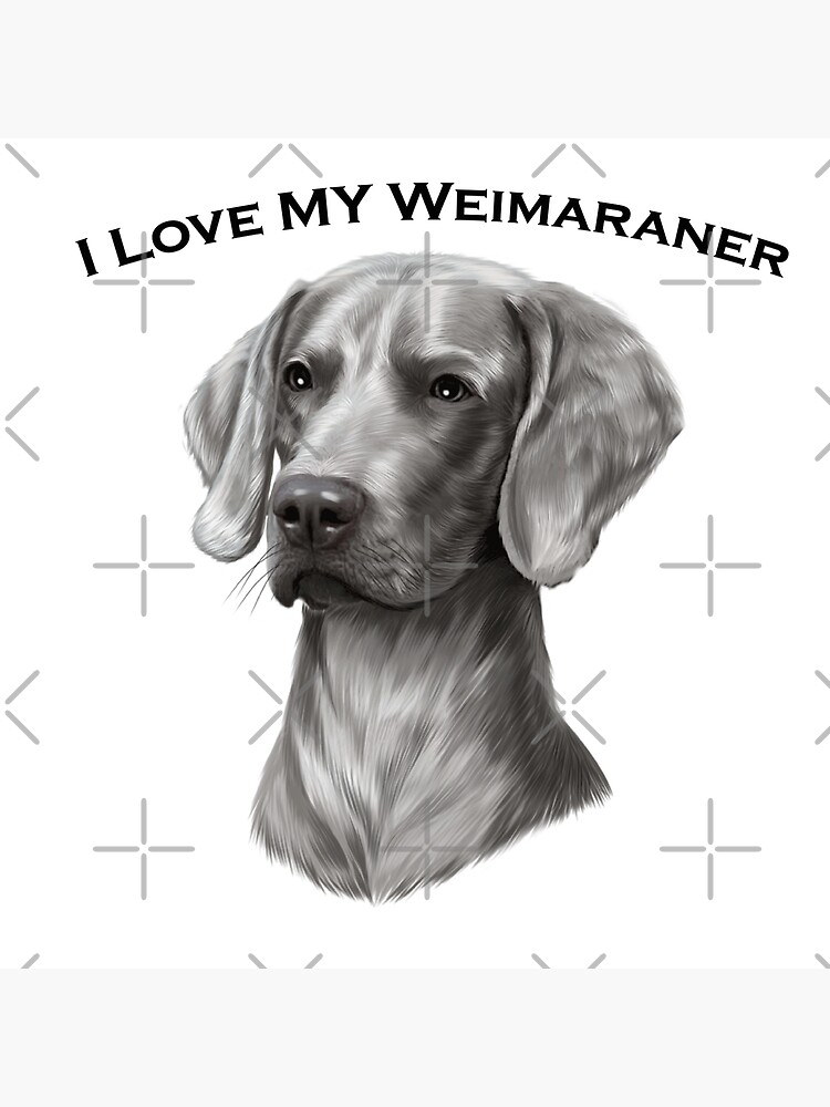 I love my store weimaraner