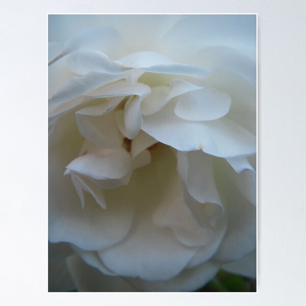 Item preview, Shy Bride designed and sold by Tama Blough.