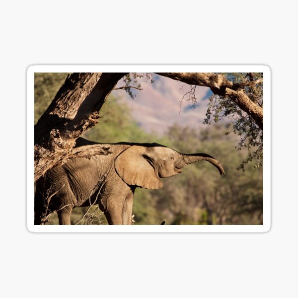 Trunk hello Sticker