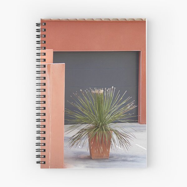 Item preview, Terra cotta. designed and sold by Paul Pasco.
