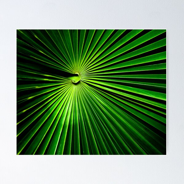 Item preview, Palm Leaf designed and sold by Ravensara.