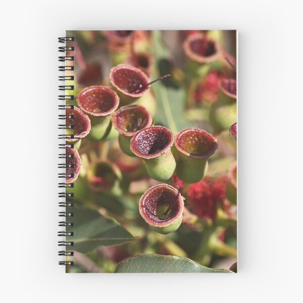 Item preview, Aussie Gumnut designed and sold by Joy Watson - Natural Light Photography .