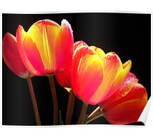 "Amazing Company." by Vitta | Redbubble