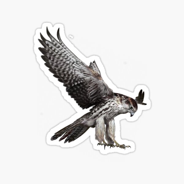FALCON Sticker