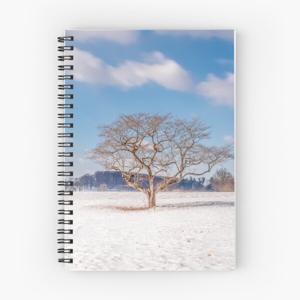 Item preview, Old Bare Tree 0320 designed and sold by HowardRoberts.