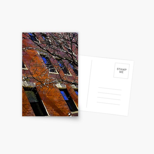 Bacon hill brick Postcard