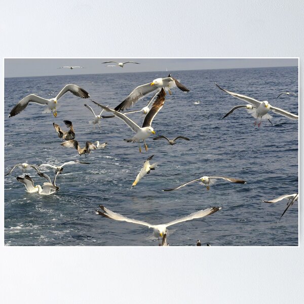Item preview, seabird seascape designed and sold by Grandalf.