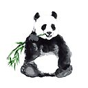 Giant Panda Watercolor Art Print Painting Poster By Asiaszmerdt Redbubble