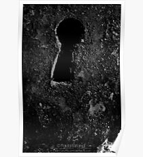 Through The Keyhole Poster