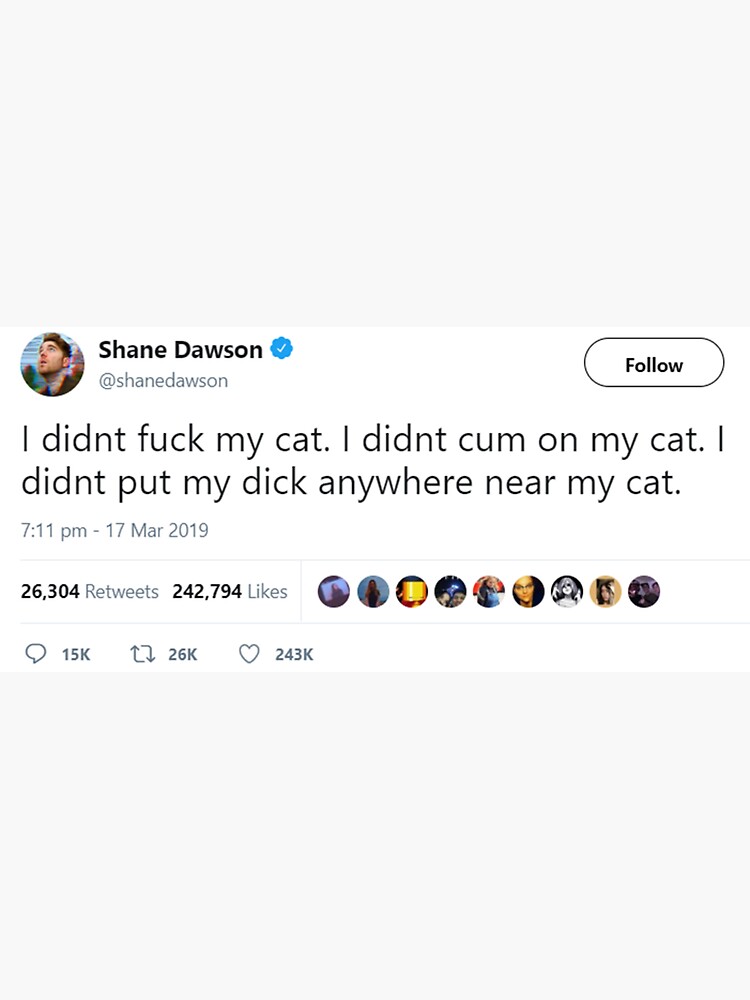 "Shane Dawson Cat Twitter Meme" Sticker by THKHDesigns Redbubble