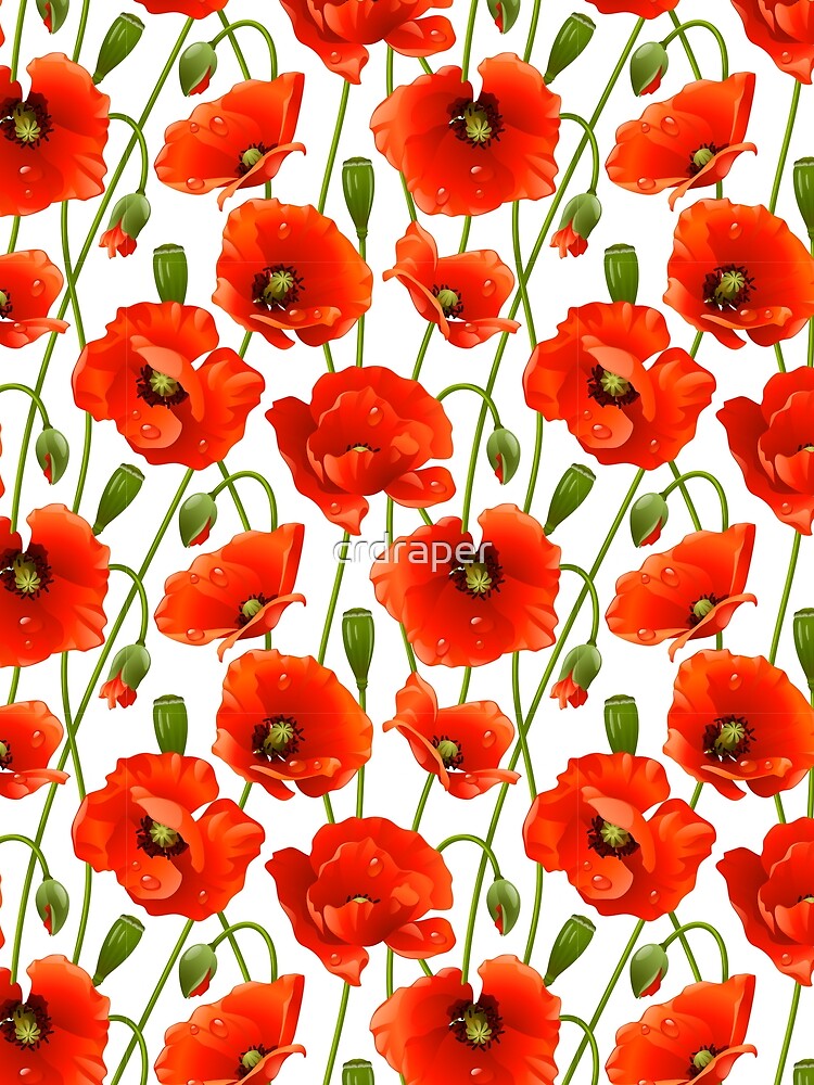 Red Poppies on a white background by crdraper