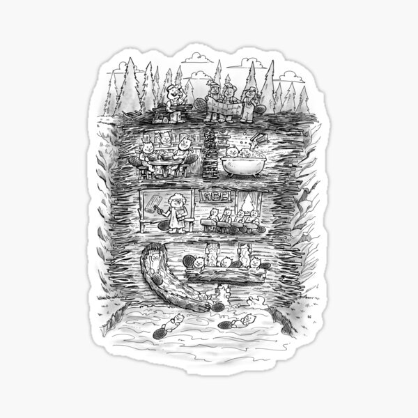 Mr Beaver's Wonder Dam Sticker