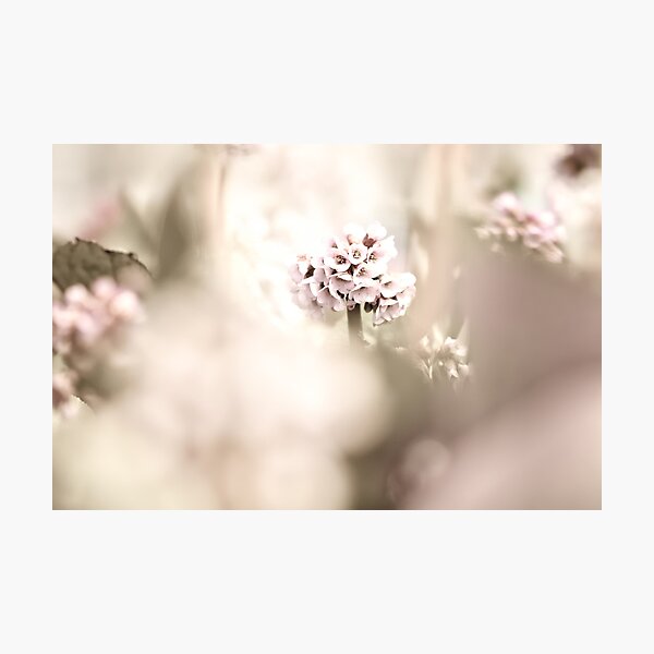 Item preview, Just Married designed and sold by Stas Medvedev.