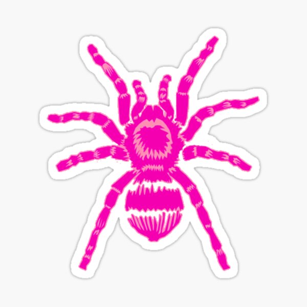 Artikel-Vorschau von Vogelspinne! Rosa, designt und verkauft von Rai Ball (The Elocutioner).