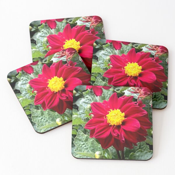 Item preview, Ruby Red - Delightful Dahlia  designed and sold by KazM.