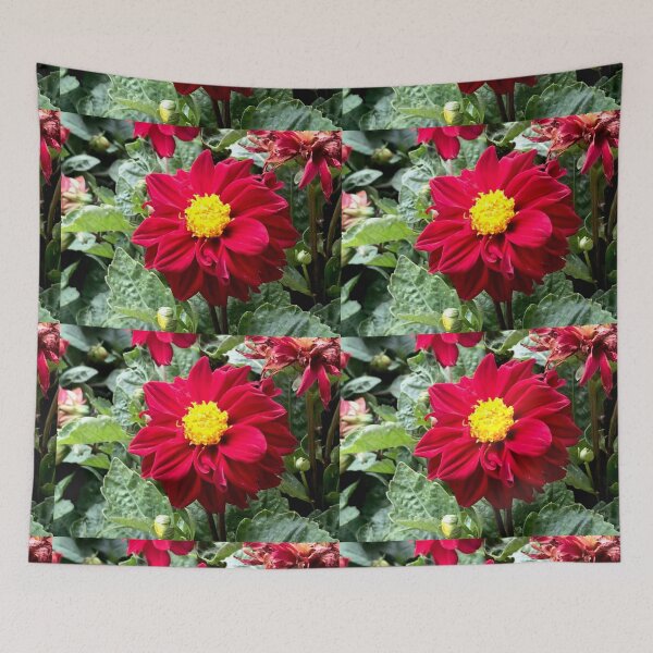 Item preview, Ruby Red - Delightful Dahlia  designed and sold by KazM.