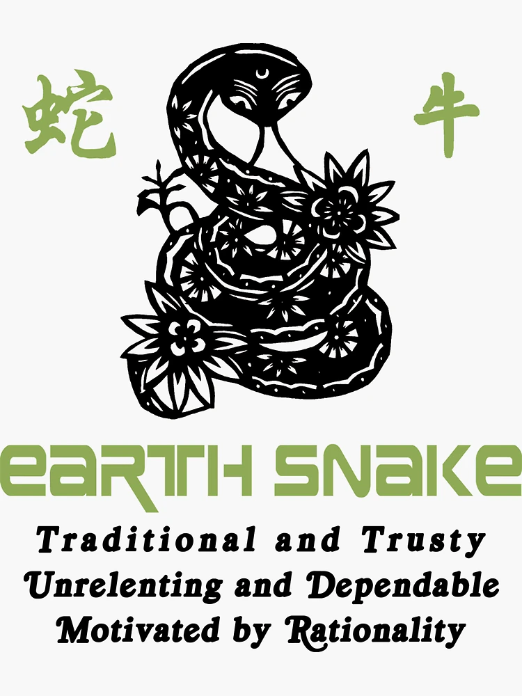 Chinese Year of the Earth Snake 1989 T Shirt